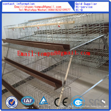 Egg Layer Chicken Cage